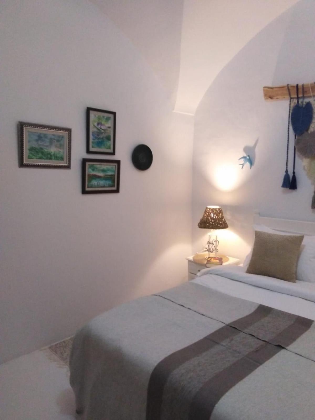 Dar Ali Medina Hammamet Chambres D'Hotes エクステリア 写真